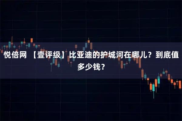 悦倍网 【壹评级】比亚迪的护城河在哪儿？到底值多少钱？