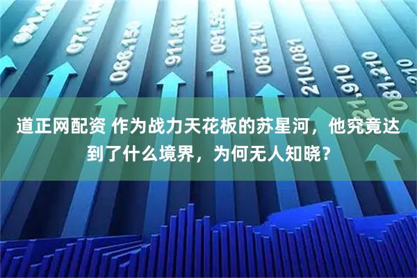 道正网配资 作为战力天花板的苏星河，他究竟达到了什么境界，为何无人知晓？