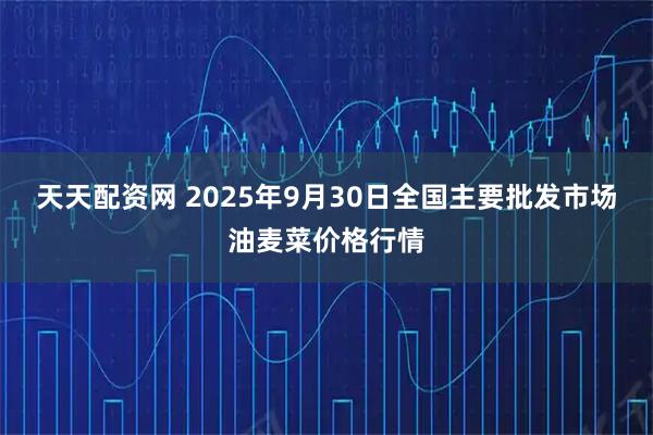 天天配资网 2025年9月30日全国主要批发市场油麦菜价格行情