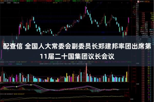 配查信 全国人大常委会副委员长郑建邦率团出席第11届二十国集团议长会议