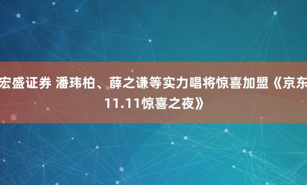 宏盛证券 潘玮柏、薛之谦等实力唱将惊喜加盟《京东11.11惊喜之夜》