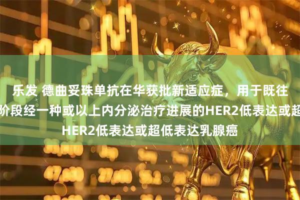 乐发 德曲妥珠单抗在华获批新适应症，用于既往在转移性疾病阶段经一种或以上内分泌治疗进展的HER2低表达或超低表达乳腺癌